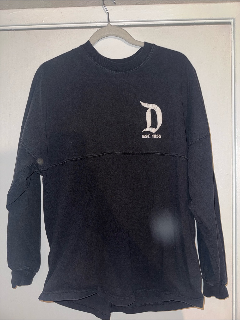 Disney Spirit Jersey
